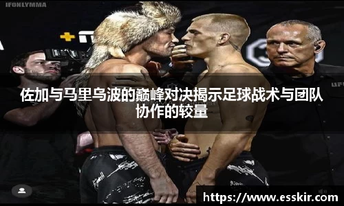28圈官方网站