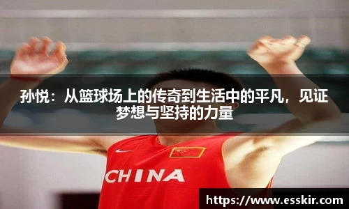 28圈官方网站