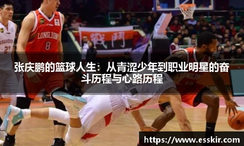 张庆鹏的篮球人生：从青涩少年到职业明星的奋斗历程与心路历程