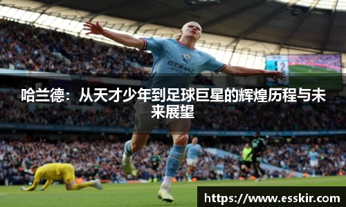 28圈官方网站