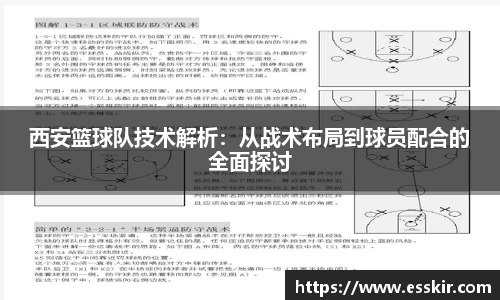 西安篮球队技术解析：从战术布局到球员配合的全面探讨
