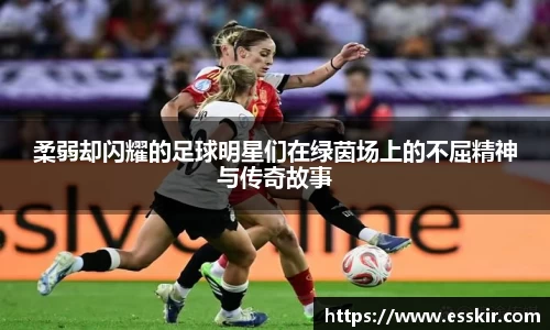 柔弱却闪耀的足球明星们在绿茵场上的不屈精神与传奇故事